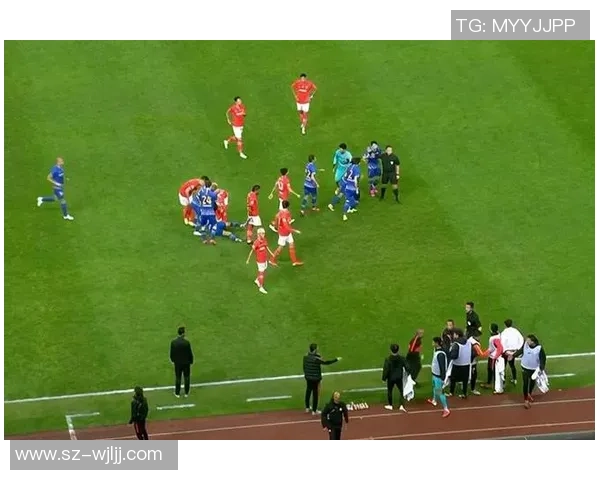 足总杯激战:多特蒙德与马竞战平争议判罚引发全场热议